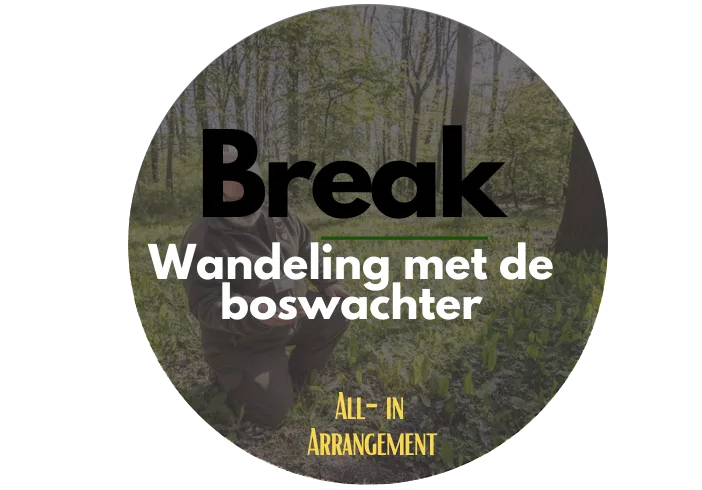 Wandeling met de Boswachter